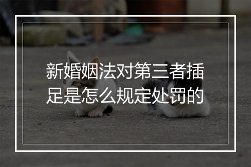 新婚姻法对第三者插足是怎么规定处罚的