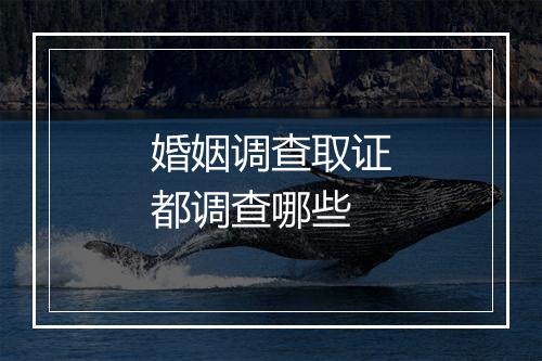 婚姻调查取证都调查哪些
