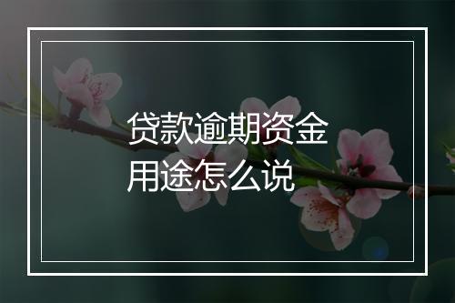 贷款逾期资金用途怎么说