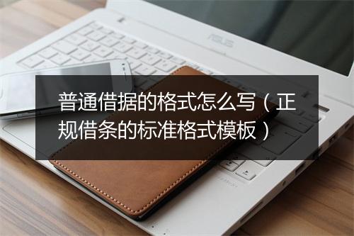 普通借据的格式怎么写（正规借条的标准格式模板）
