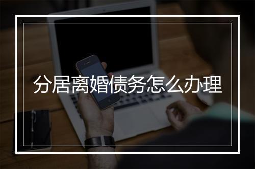 分居离婚债务怎么办理