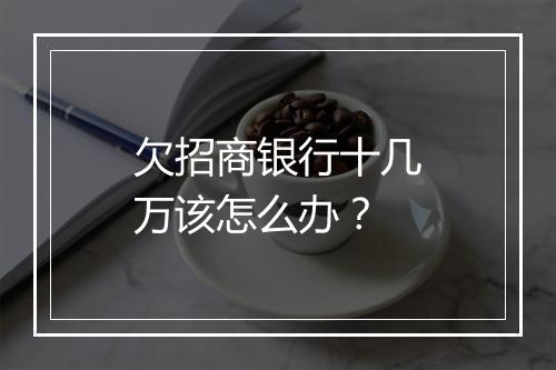 欠招商银行十几万该怎么办？