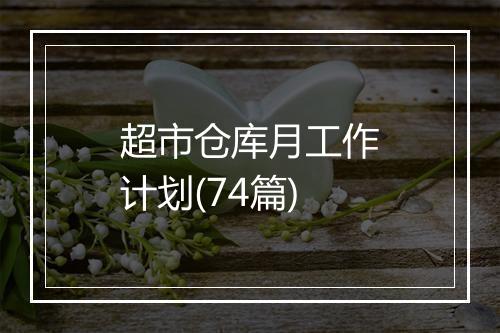 超市仓库月工作计划(74篇)