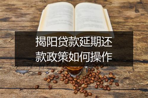 揭阳贷款延期还款政策如何操作