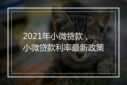 2021年小微贷款，小微贷款利率最新政策
