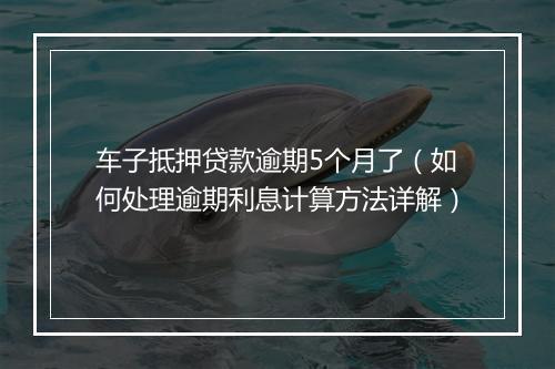 车子抵押贷款逾期5个月了（如何处理逾期利息计算方法详解）