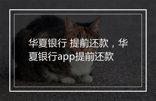 华夏银行 提前还款，华夏银行app提前还款