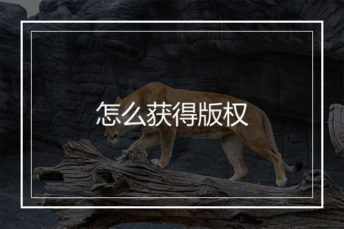 怎么获得版权