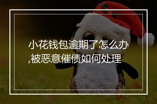 小花钱包逾期了怎么办,被恶意催债如何处理
