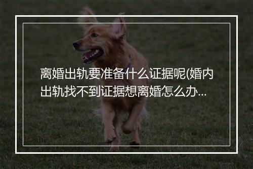 离婚出轨要准备什么证据呢(婚内出轨找不到证据想离婚怎么办)