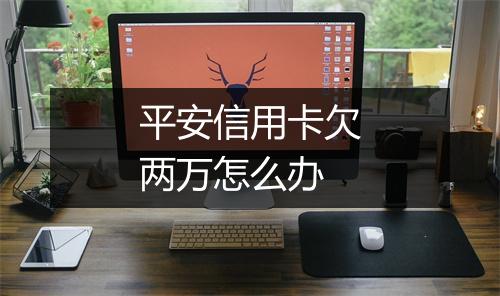 平安信用卡欠两万怎么办