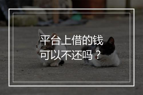 平台上借的钱可以不还吗？