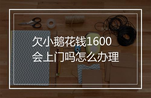 欠小鹅花钱1600会上门吗怎么办理