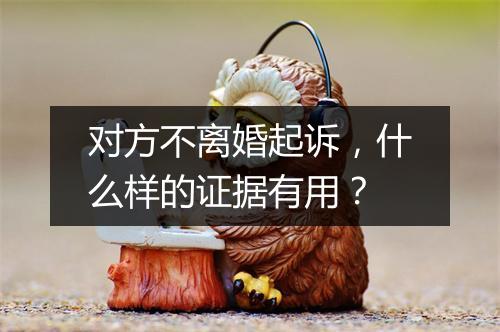 对方不离婚起诉，什么样的证据有用？