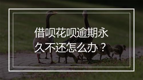 借呗花呗逾期永久不还怎么办？