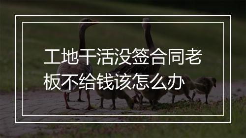 工地干活没签合同老板不给钱该怎么办
