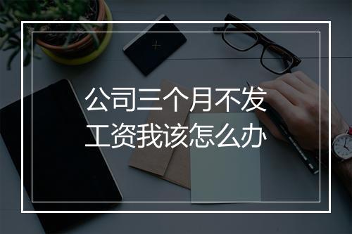 公司三个月不发工资我该怎么办