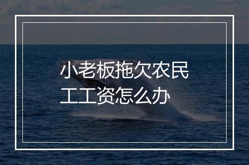 小老板拖欠农民工工资怎么办