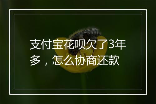 支付宝花呗欠了3年多，怎么协商还款