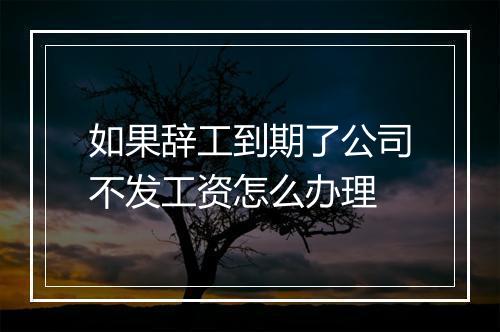 如果辞工到期了公司不发工资怎么办理