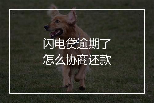 闪电贷逾期了怎么协商还款