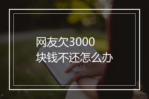 网友欠3000块钱不还怎么办