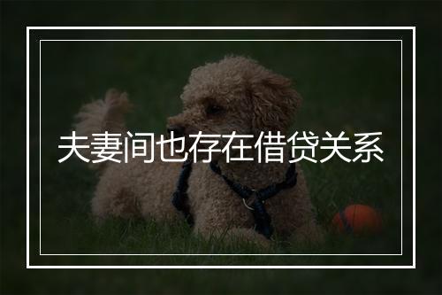 夫妻间也存在借贷关系