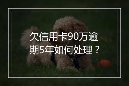 欠信用卡90万逾期5年如何处理？