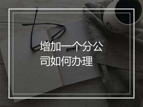 增加一个分公司如何办理
