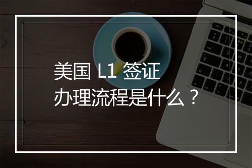 美国 L1 签证办理流程是什么？