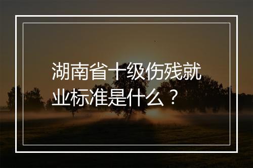 湖南省十级伤残就业标准是什么？
