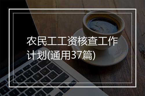 农民工工资核查工作计划(通用37篇)