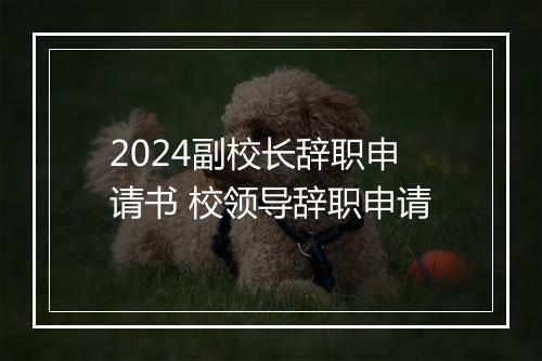 2024副校长辞职申请书 校领导辞职申请