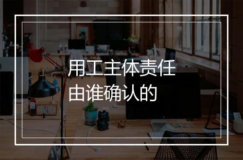 用工主体责任由谁确认的