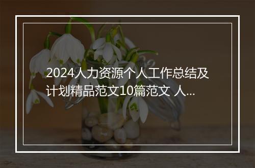 2024人力资源个人工作总结及计划精品范文10篇范文 人力资源个人工作总结及计划精品范文10篇