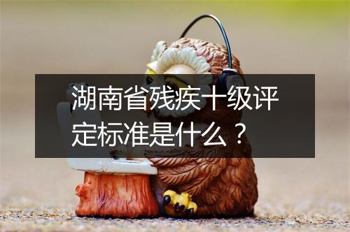 湖南省残疾十级评定标准是什么？