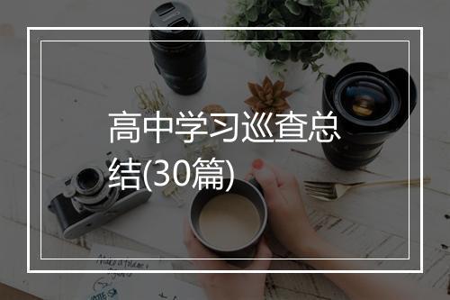 高中学习巡查总结(30篇)