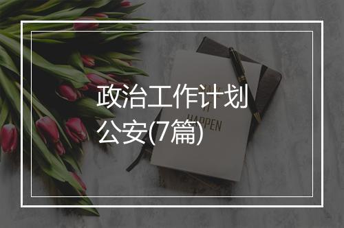 政治工作计划公安(7篇)