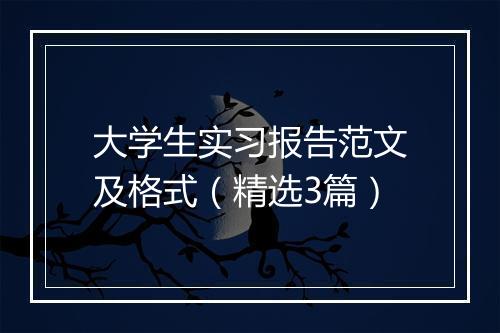 大学生实习报告范文及格式（精选3篇）