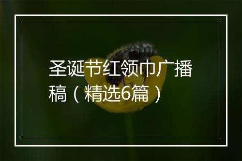 圣诞节红领巾广播稿（精选6篇）