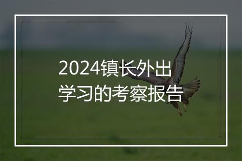 2024镇长外出学习的考察报告