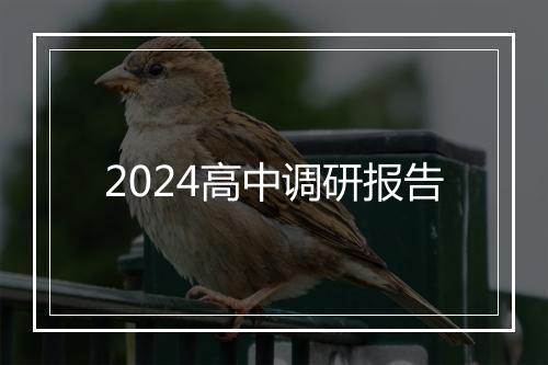 2024高中调研报告