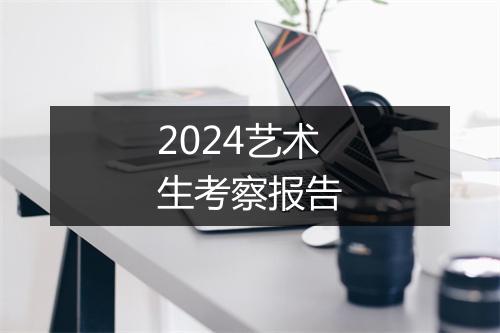 2024艺术生考察报告