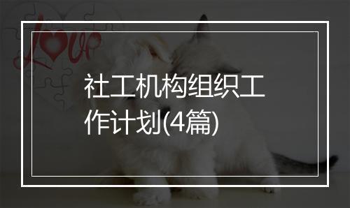 社工机构组织工作计划(4篇)