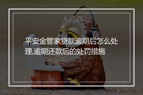 平安金管家贷款逾期后怎么处理,逾期还款后的处罚措施