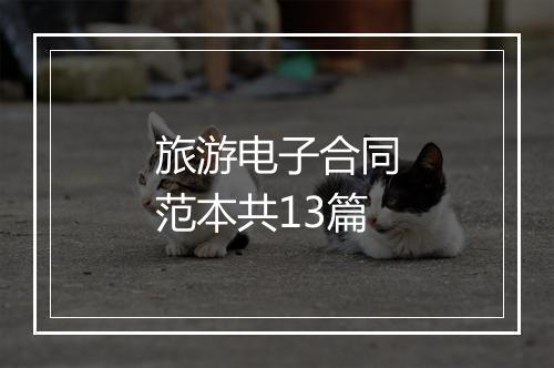 旅游电子合同范本共13篇