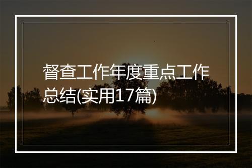 督查工作年度重点工作总结(实用17篇)