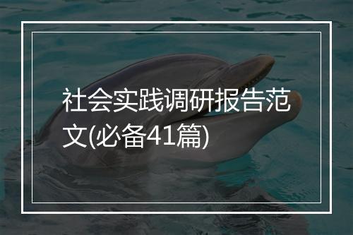 社会实践调研报告范文(必备41篇)