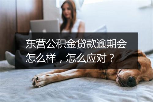 东营公积金贷款逾期会怎么样，怎么应对？