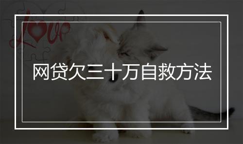 网贷欠三十万自救方法